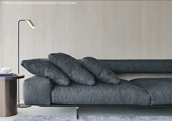 Zweisitzer Stoffsofa mit abnehmbarem Bezug und Rückenlehne FLEXFORM Fabrik FLEXFORM aus Italien. Foto №3