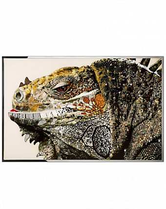 Panel, Bild IGUANA
