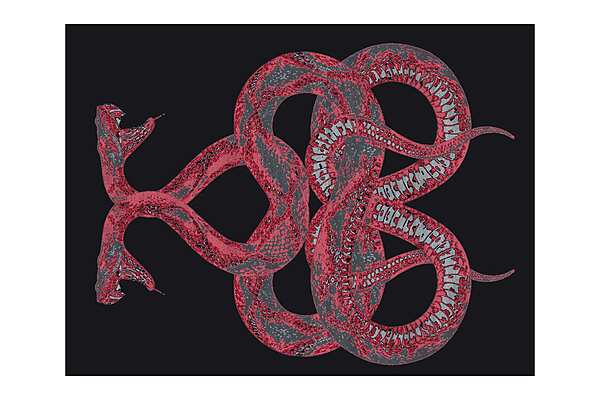 Teppich ROBERTO CAVALLI SNAKE Fabrik ROBERTO CAVALLI aus Italien. Foto №3