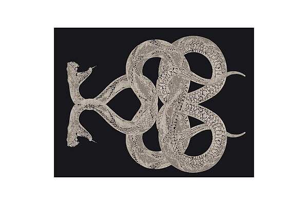 Teppich ROBERTO CAVALLI SNAKE Fabrik ROBERTO CAVALLI aus Italien. Foto №1