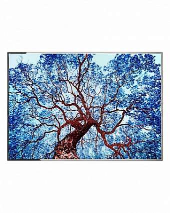 Panel, Bild Tree Of Dreams