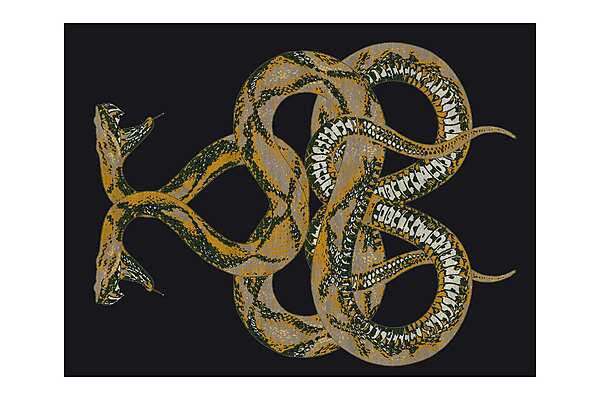 Teppich ROBERTO CAVALLI SNAKE Fabrik ROBERTO CAVALLI aus Italien. Foto №2