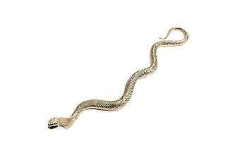 Accessoires ROBERTO CAVALLI SNAKE