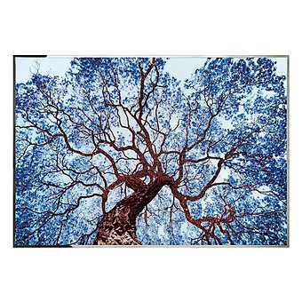 Wandbild, Bild VISIONAIRE (IPE CAVALLI) Tree Of Dreams