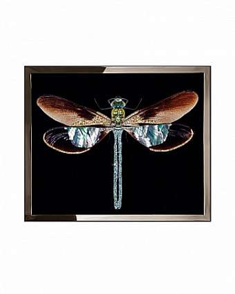 Panel, Bild LIBELLULA