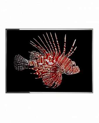 Panel, Bild PESCE SCORPIONE