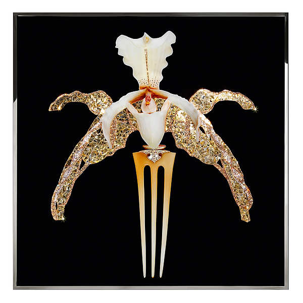 Wandbild, Bild VISIONAIRE (IPE CAVALLI) Orchidea Lalique