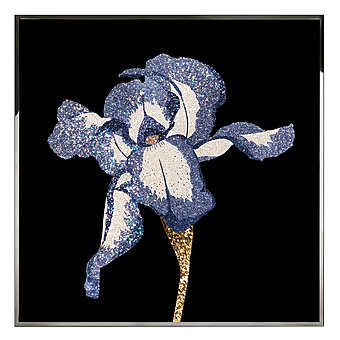 Wandbild, Malerei VISIONAIRE (IPE CAVALLI) IRIS