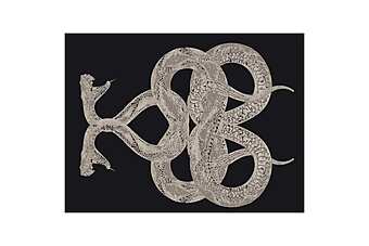Teppich ROBERTO CAVALLI SNAKE