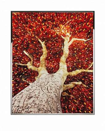 Panel, Bild ALBERO