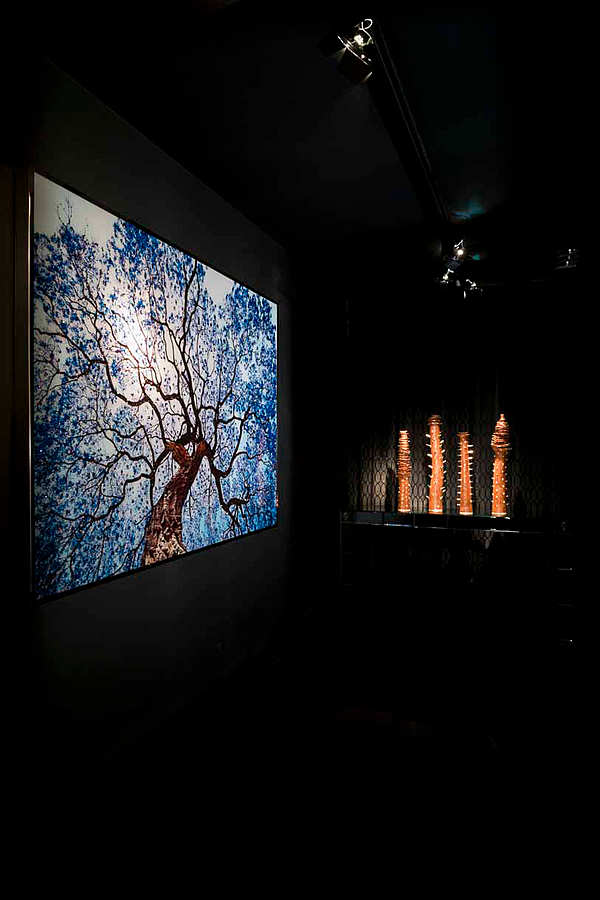 Wandbild, Bild VISIONAIRE (IPE CAVALLI) Tree Of Dreams