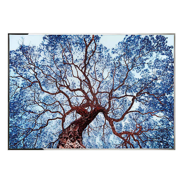 Wandbild, Bild VISIONAIRE (IPE CAVALLI) Tree Of Dreams
