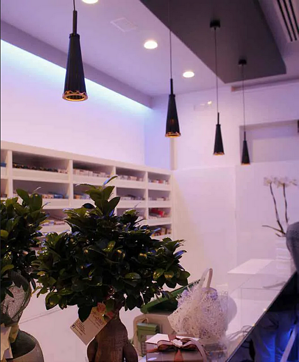 Kristall Pendelleuchte Julienne S1 Euroluce Lampadari Fabrik EUROLUCE LAMPADARi aus Italien. Foto №2